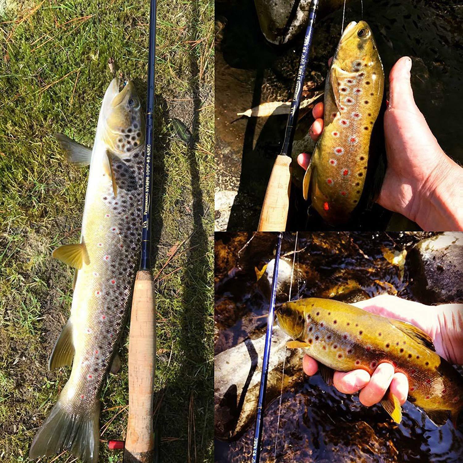 Performance Nymph 10ft 2/3/4wt Fast Action Fly Fishing Rod and Reel Combo