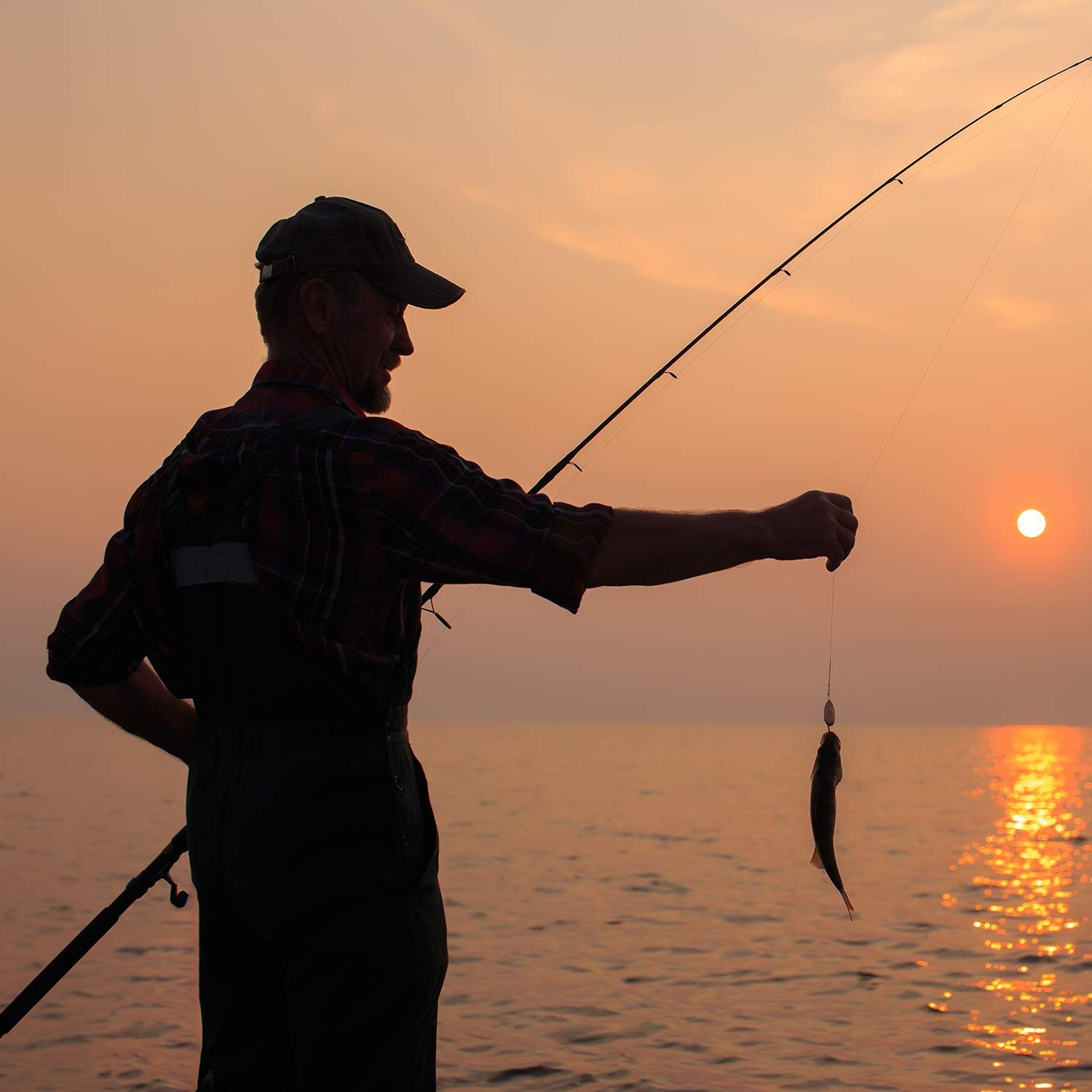 Cadence Essence 2025 Compact Design Spinning Rod Graphite Steel Sic Sensitivity