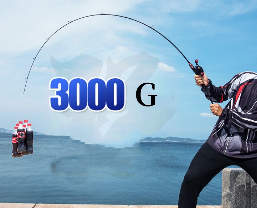1.68M 1.8M Lure Fishing Rods Carbon Fiber Spinning Casting Rod Fast Pole 2 Tips