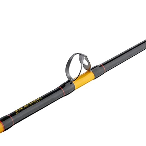 Bigwater Casting Fishing Rod