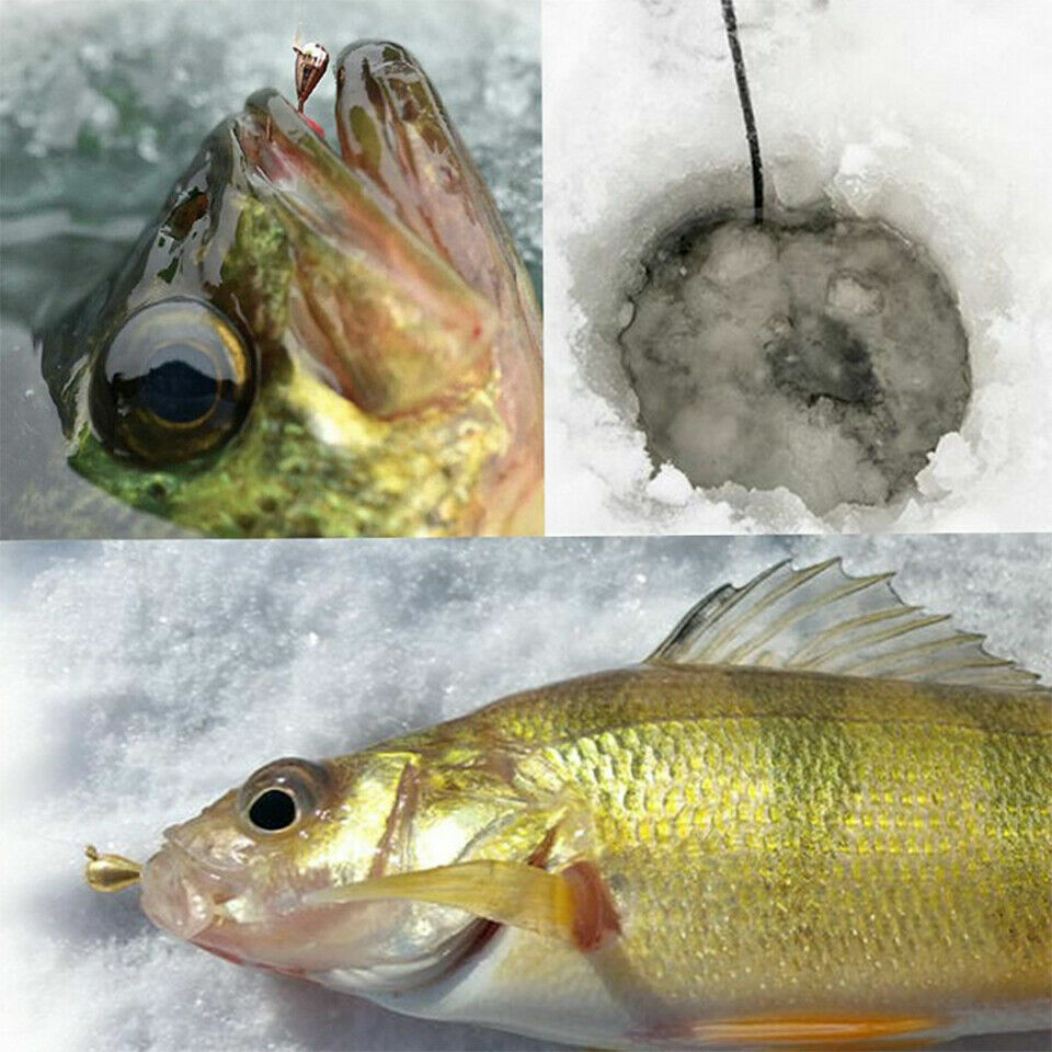 5pcs Ice Jig Japan Hook Winter Fishing Baits 12/14/16# Tungsten Ice Fishing Jig