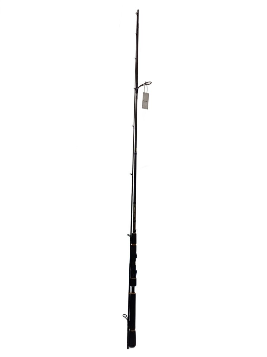 DAIWA Morethan Branzino AGS 94ML-J Fishing Rod 01480200 280cm Length