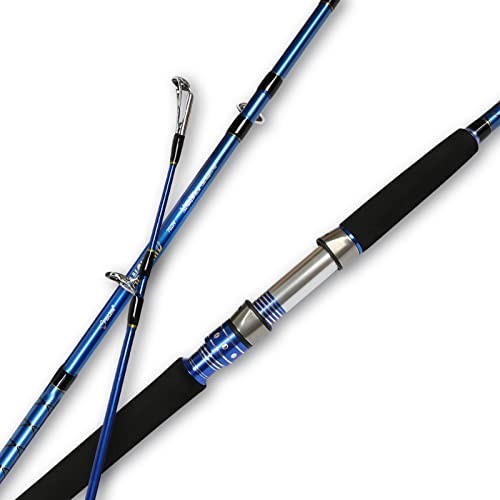 7ft Portable Saltwater Spinning Fishing Rod – Lightweight Graphite, 2-Piece Desi
