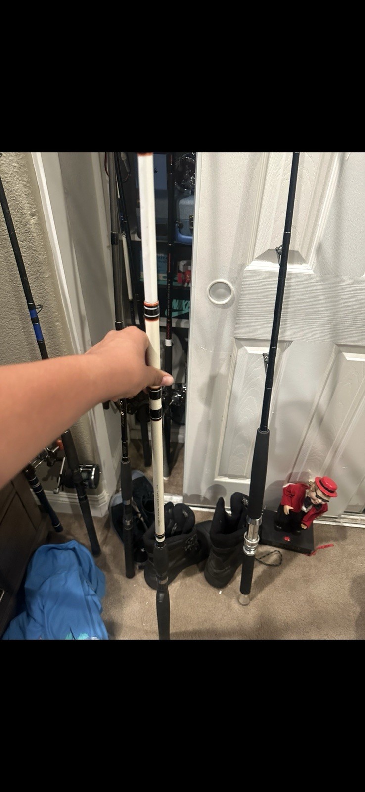 BERKLEY ( BIG GAME) Spinning Rod, 8′-0 MH, Line 12-30lb. (BGS802MH)