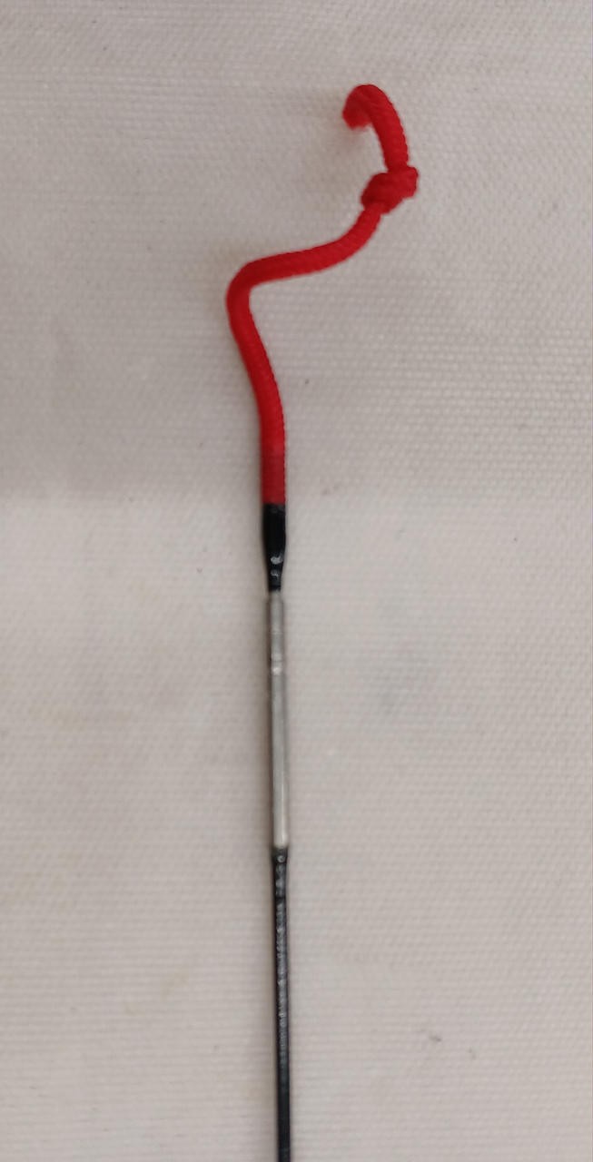 Daiwa 8 Shaku Carp Fishing Rod with Cap & Bag, 3 Sections, 31.5in/80cm