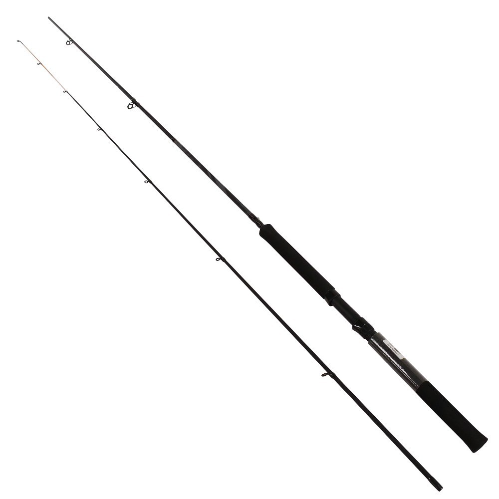 2-Piece 10-Foot Light Spinning Fishing Rod for Crappie Panfish and Trout
