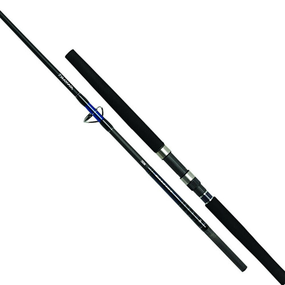 Daiwa Saltist Popper & Jigging Saltwater Lure Rods – Fishing Rod