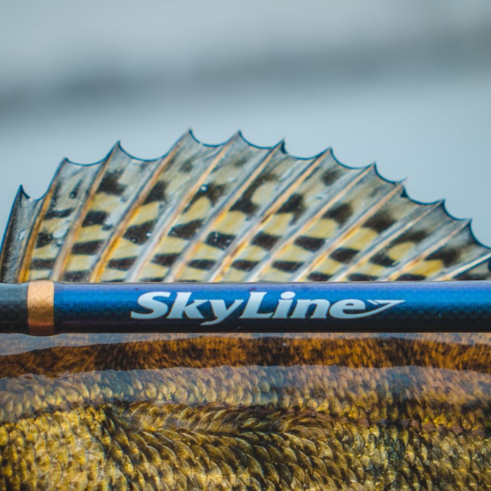 FAVORITE Spinning Fishing Rod SKYLINE SKYA-702M