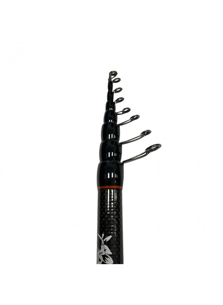 Fishing Telescopic rod Pro FL Champion Allround Tele Match 4.20m 20-80g