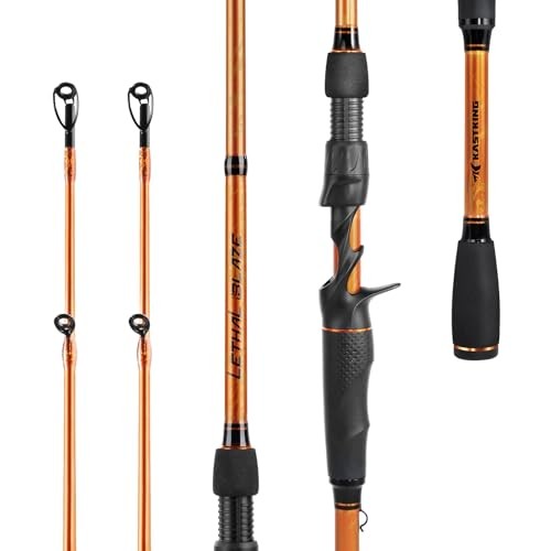 Lethal Blaze Twin-Tip Fishing Rods, IM6 Graphite Blanks Casting & Spinning