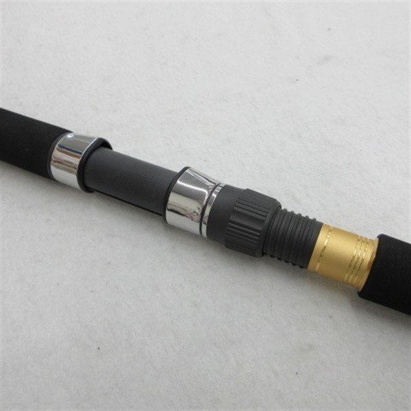 Daiwa 21 OVERTHERE Grande 100M Cond/C