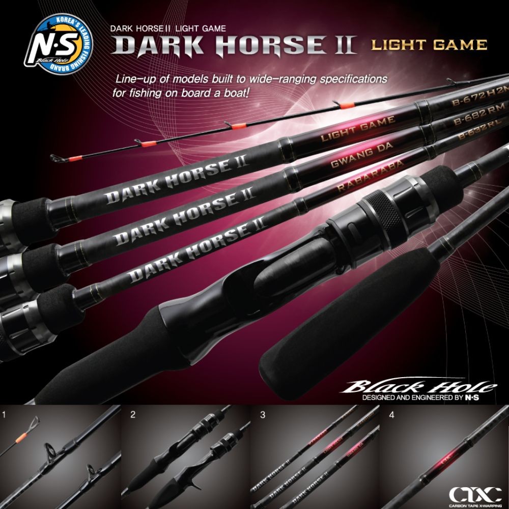 NS BLACK HOLE Rubber Jigging Baitcasting Rod DARK HORSE II LIGHT GAME RABARABA