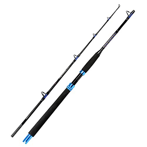 1-Piece Saltwater Offshore Boat Rod – Graphite Spinning Fishing Rod