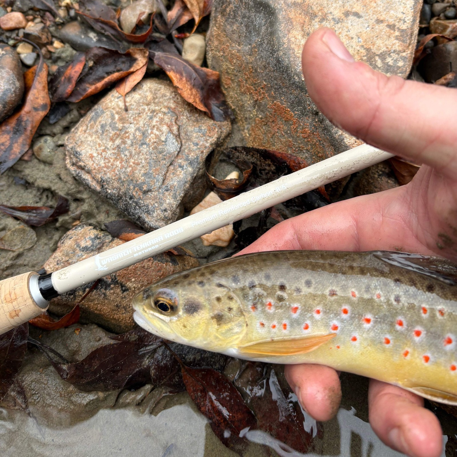Wasatch MothRod 8’5″ Tenkara Rod 1.9 oz Collapses 16in w/ Rod Tube