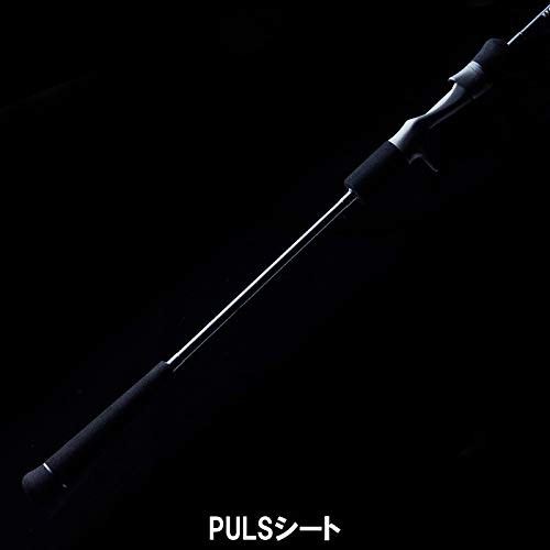 Tenryu HORIZON MJ HMJ5101B-M Baitcasting Rod Color RM 5.10ft Jigging Rod NEW