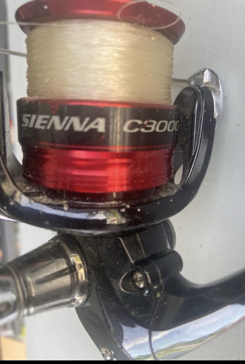 Shakespeare Pro Am SPW 2056 Light 5’6″ Spinning6-12 lb with sienna c3000 reels