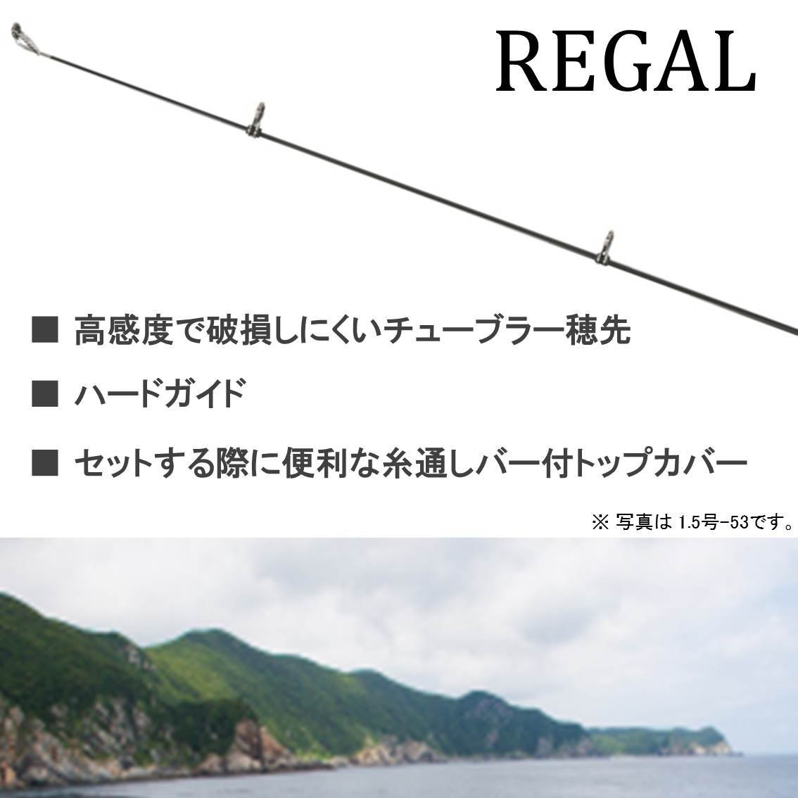 DAIWA Pier Fishing/Sea Fishing/Iso Rod Regal Long Cast 5-53 Long Cast Black