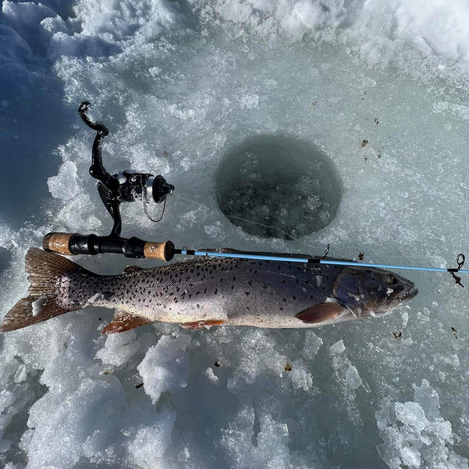Wasatch Winterhawk 28″ Medium Action Japanese Toray Carbon Ice Rod