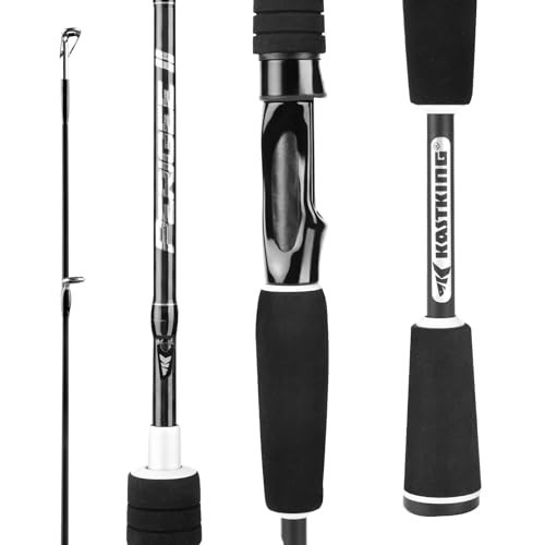 24 Ton Carbon Fiber Spinning & Casting Fishing Rods, Twin-Tip, Fuji O-Ring Guide