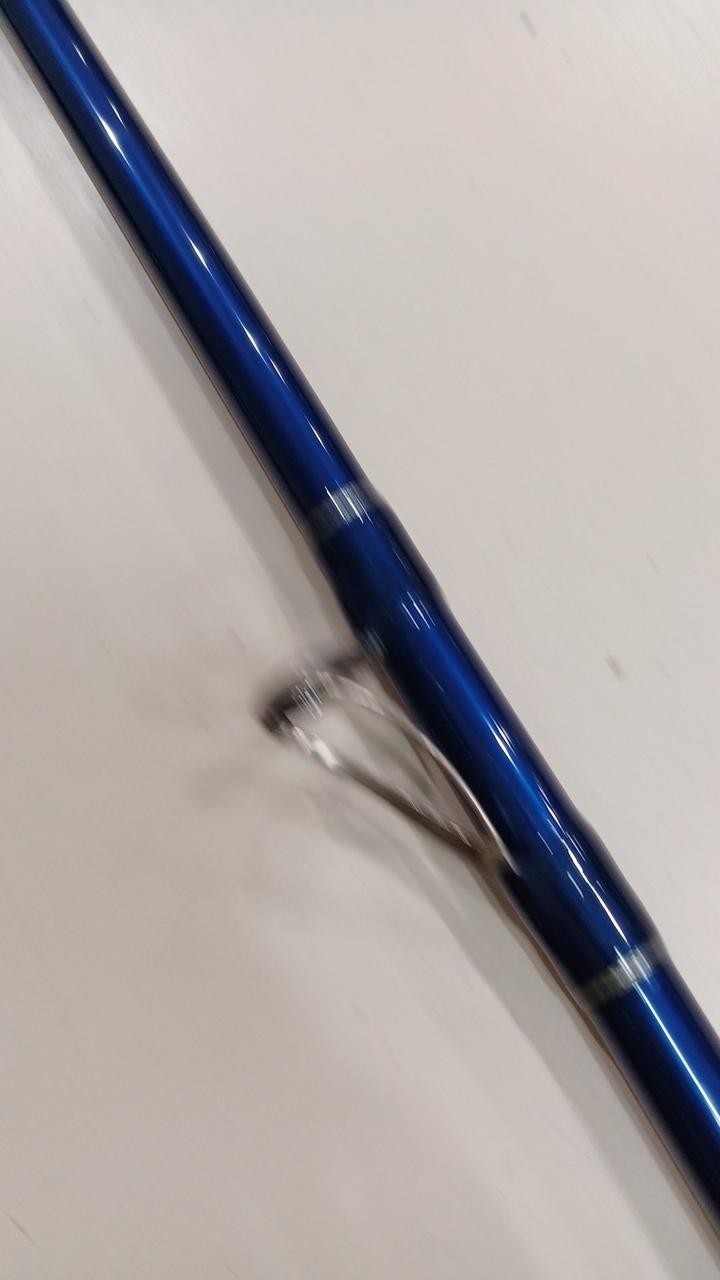 Daiwa Sky Caster 27-405 Throwing Pole