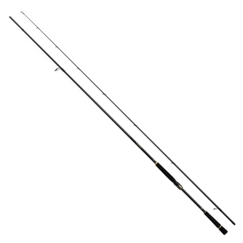 DAIWA Seabass Rod LATEO 100M･K