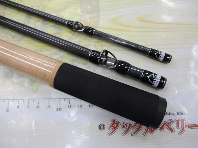 Fishman Beams Inte 9.8l Saltwater Rodshore Used