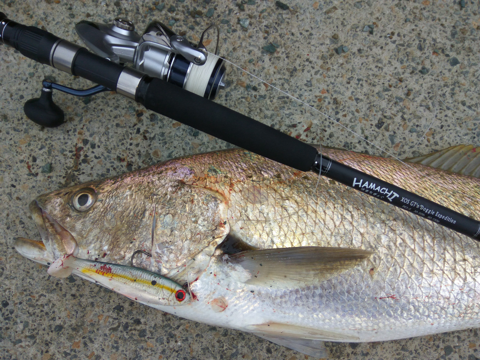 2018 Hamachi XOS GT’n’Doggie PE 8 – 13 / 80 – 130 lb Popper 8’2 fishing rod cane