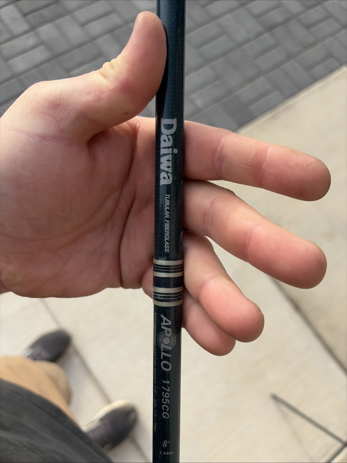 Apollo 1795 CG 2 Piece 8ft Spinning Rod
