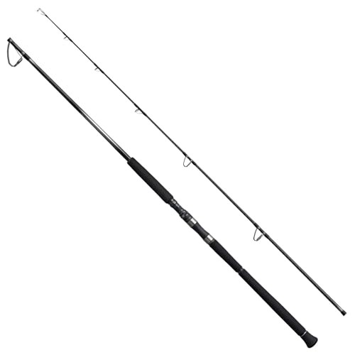 Shimano 25 OCEA PLUGGER Limited S88MH Spinning Rod