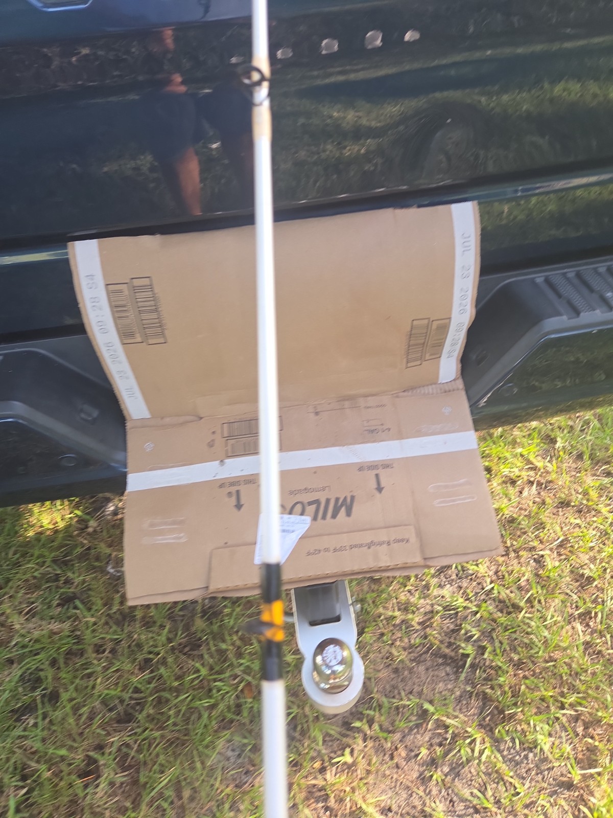 bass pro shop king cat spinng rod
