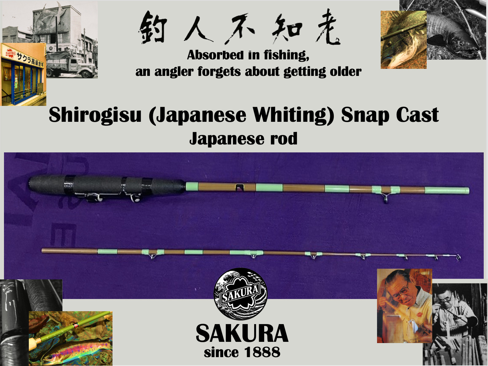 Japanese Spinning & Baitcasting Rod for Saltwater Freshwater Fish L JDM SAKURA