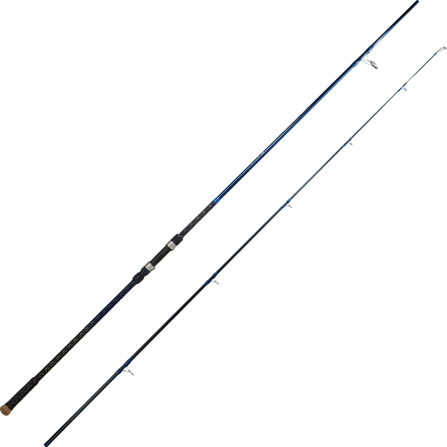 BERRYPRO Surf Spinning Rod Full Carbon Surf Fishing Rod with Fuji Guide (9’/10’/
