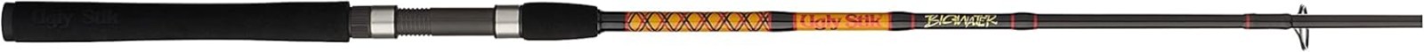 Bigwater Spinning Fishing Rod
