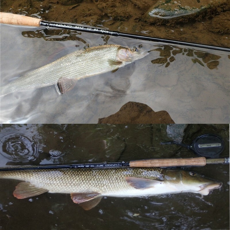 Nano Nymph 2/3/4WT 10ft IM12 Toray Carbon Fast Action Nymph Fly Fishing Rod