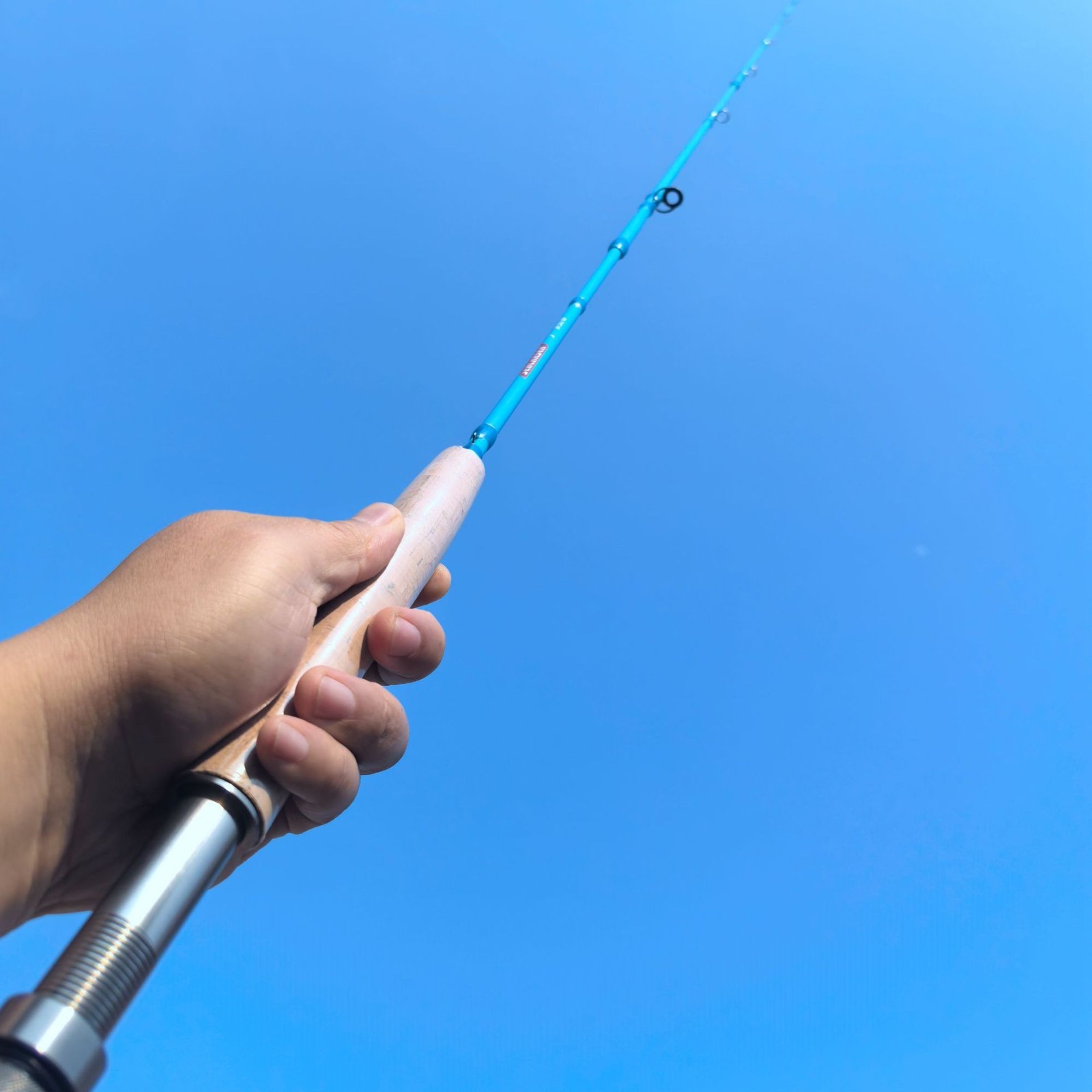 Portable Fishing Rod Carbon Fiber Spinning Casting Rod Travel Pole Fast Action