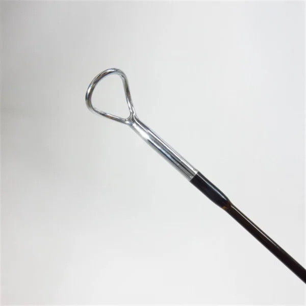 SAGE DS2 1090