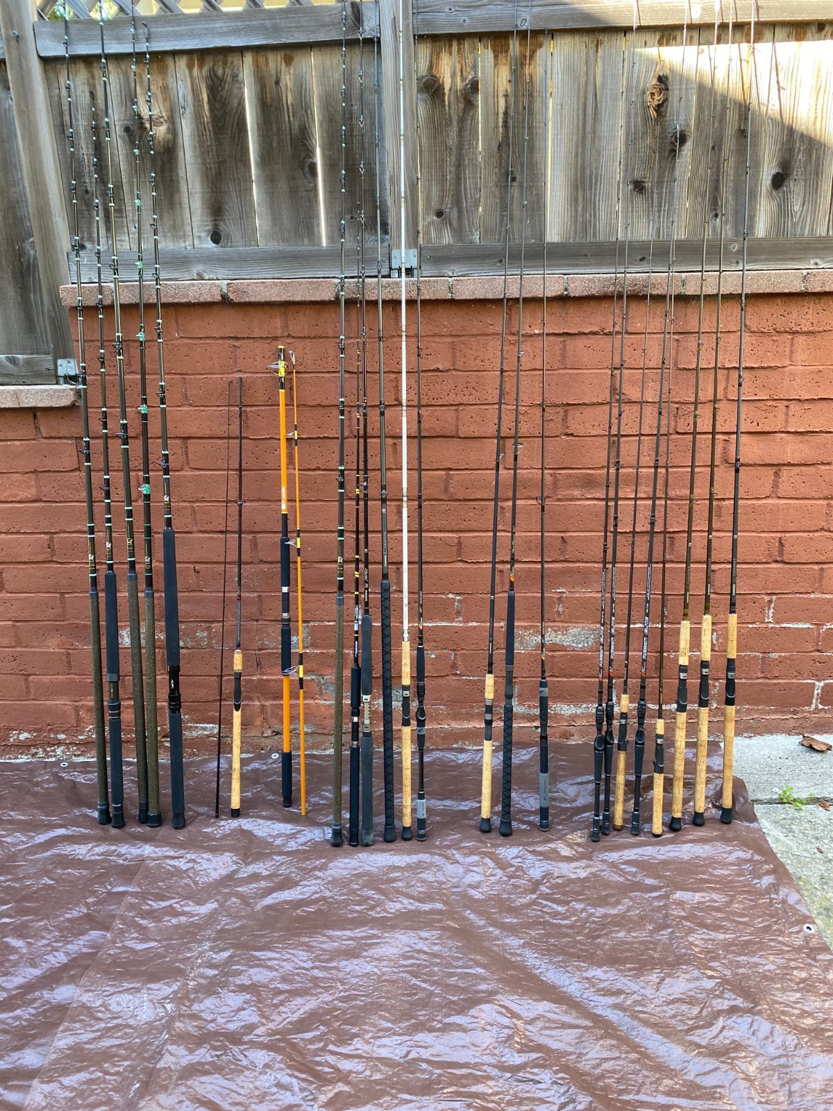 24 Fishing Rods Calstar Shimano Phenix Kencor