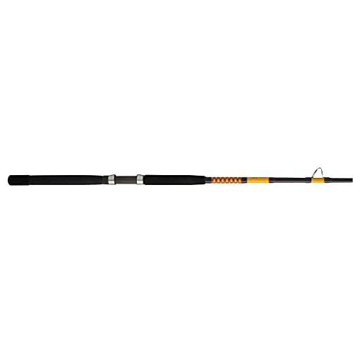 Bigwater Casting Fishing Rod