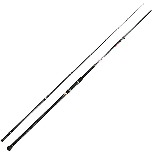 BERRYPRO Surf Spinning Fishing Rod Graphite Spinning Rod