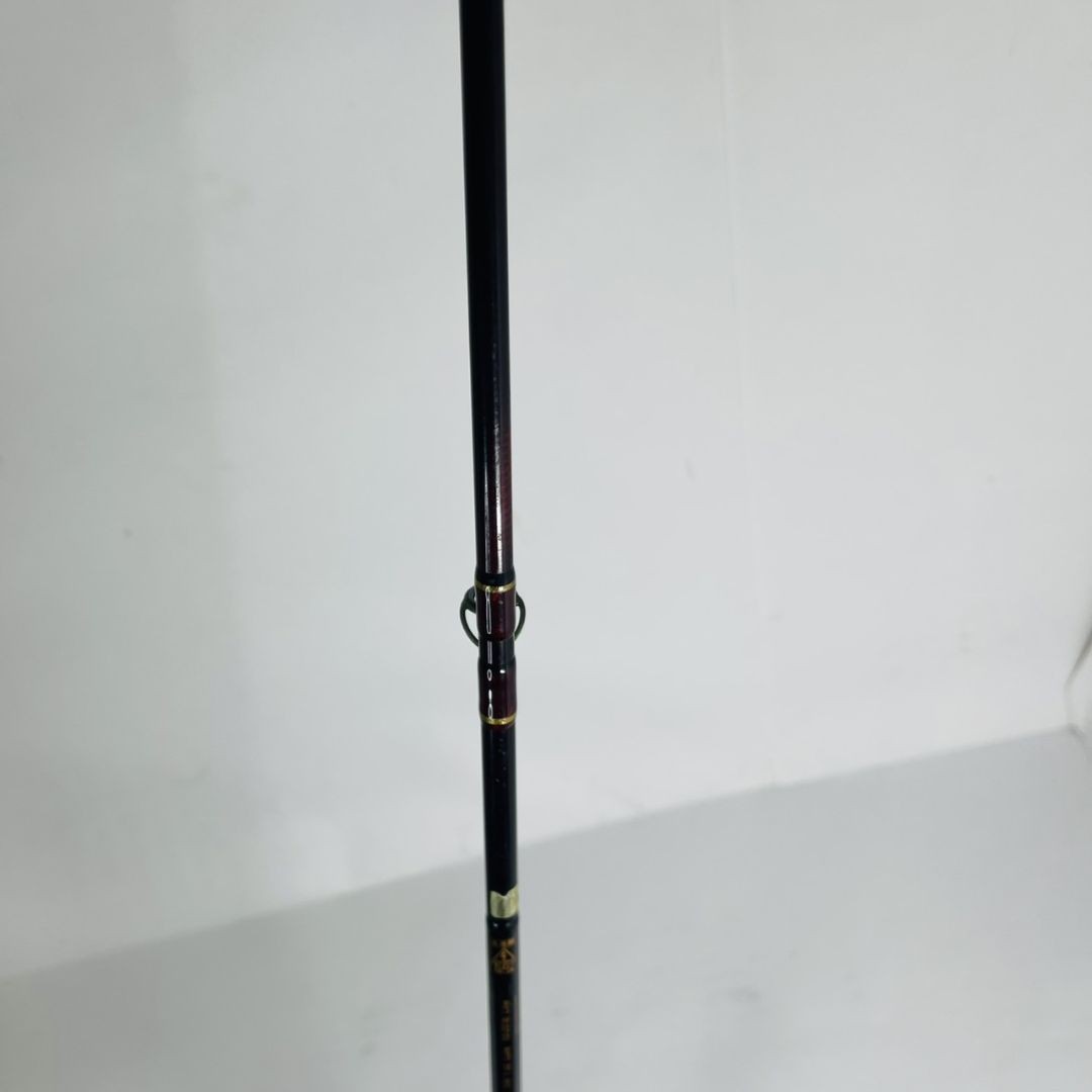 Fenwick Golden Wing GW 66C Spinning Rod Used, Light Wear