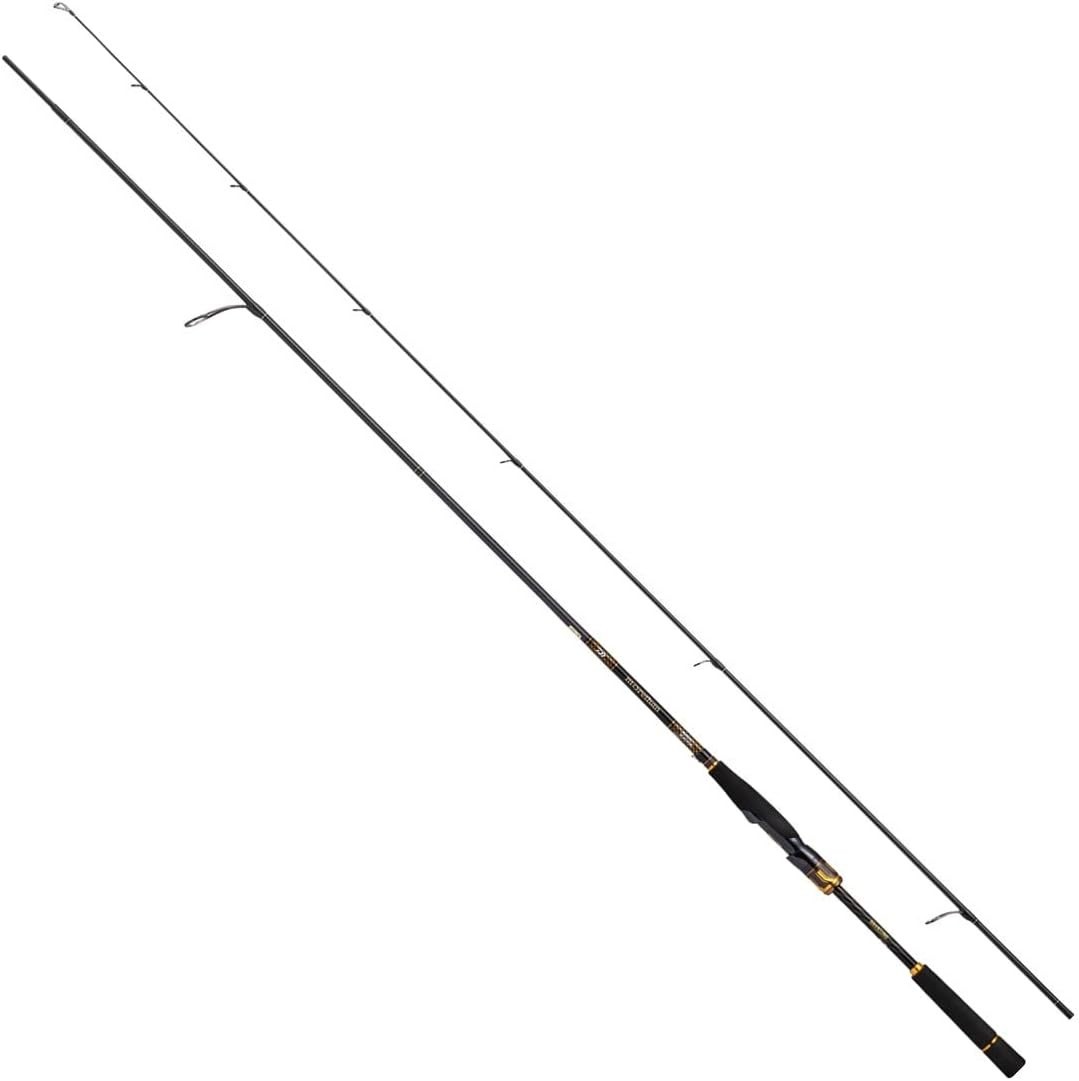 Daiwa 20 MORETHAN BRANZINO EX AGS 94mmH Black Fishing Rod Seabus Rod