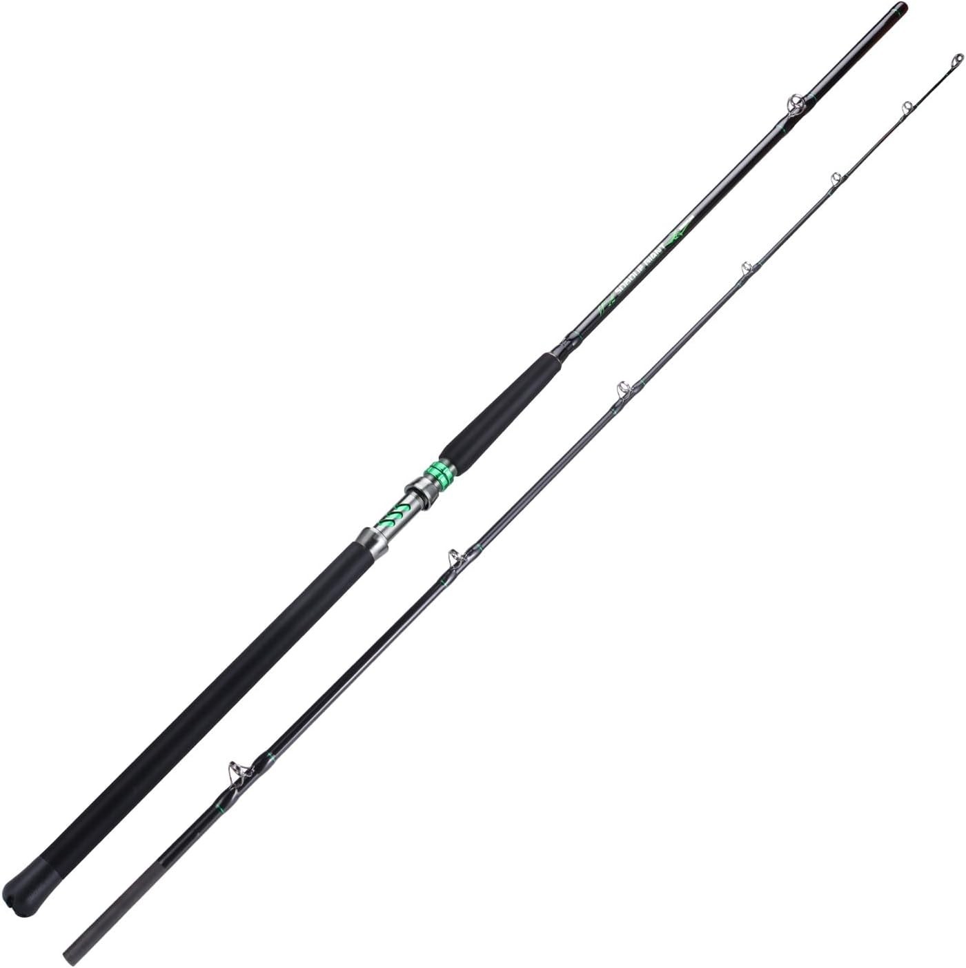 Medium Heavy Catfish Rod for Travel – EVA Handle & Strong Stainless Steel Guides