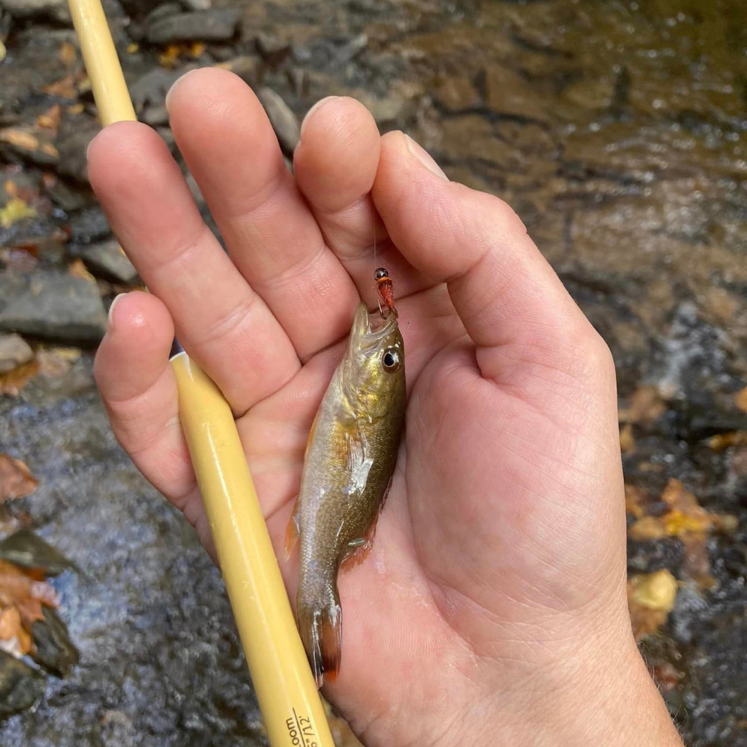 Wasatch Hankyu Middle Fork 9′-12′ Tenkara Rod Carbon Fiber w/ Rod Tube 6.6 oz