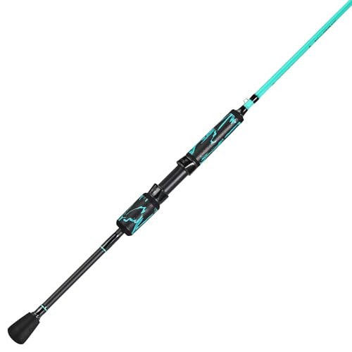 IM6 Graphite Fishing Pole – Spinning Rod & Casting Rod – High Performance
