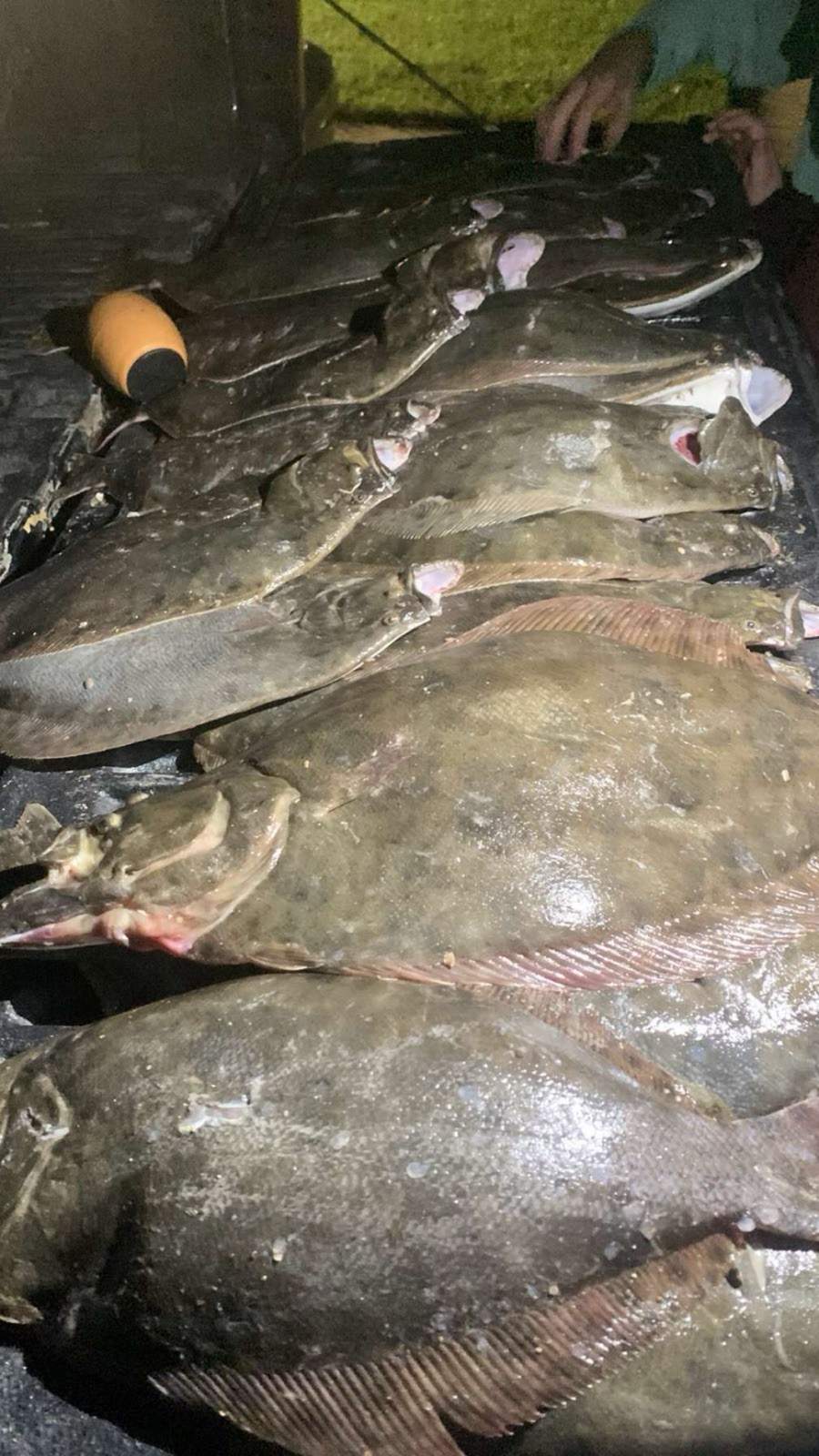Bayou Gig Light (flounder Light)