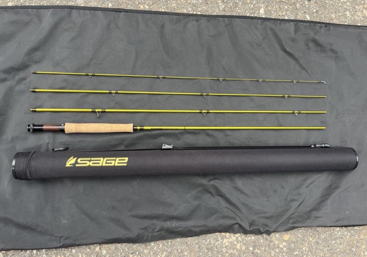 Sage PULSE 3100-4 #3 10‘0“ 3 1/8 OZ. Fly Rod Free shipping DDP