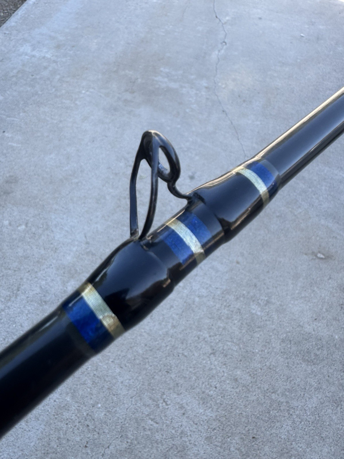Cabelas Salt Striker CSS-BC665A Fishing Rod 1 Graphite