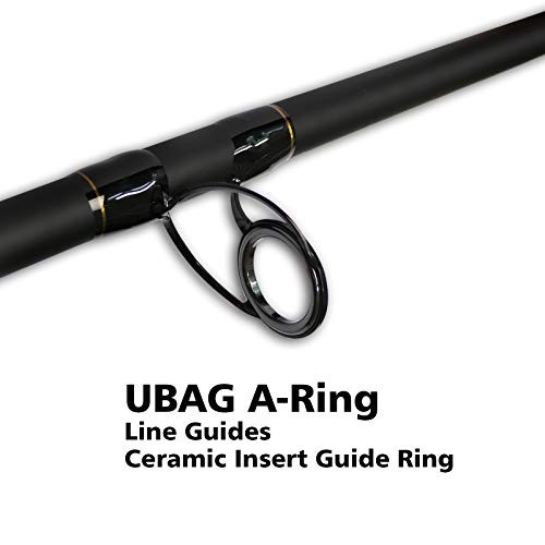 Surf Fishing Rod 2 Piece/3 Piece Portable Travel Spinning Rod 3-piece 12′