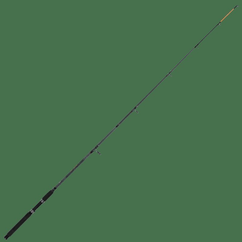 7ft Heavy Action Spinning Fishing Rod EVA Handle 2 Piece Durable Design New