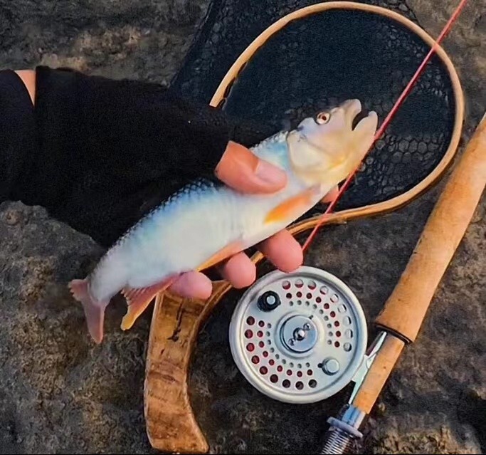 Jim Payne 6’6″ ~ 3 wt / ZHUSRODS Flame Bamboo Fly Rod / Fly Fishing Rods